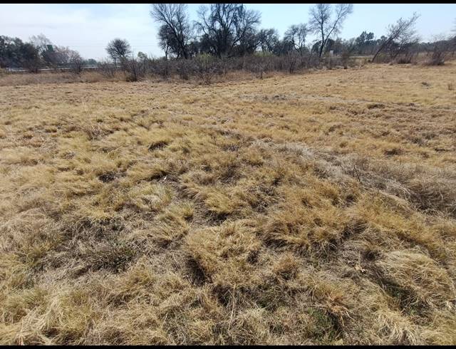 23,250M² VACANT LAND FOR SALE IN VONGEUSOPARK